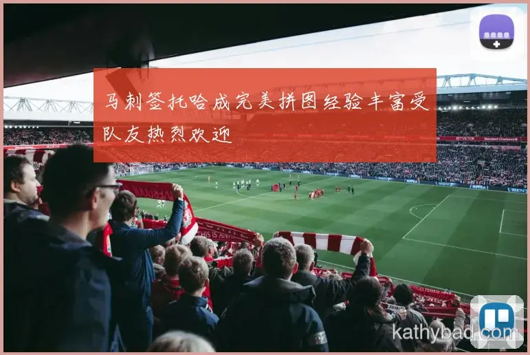 多特蒙德主场球迷创上座率纪录 球队用胜利回馈支持